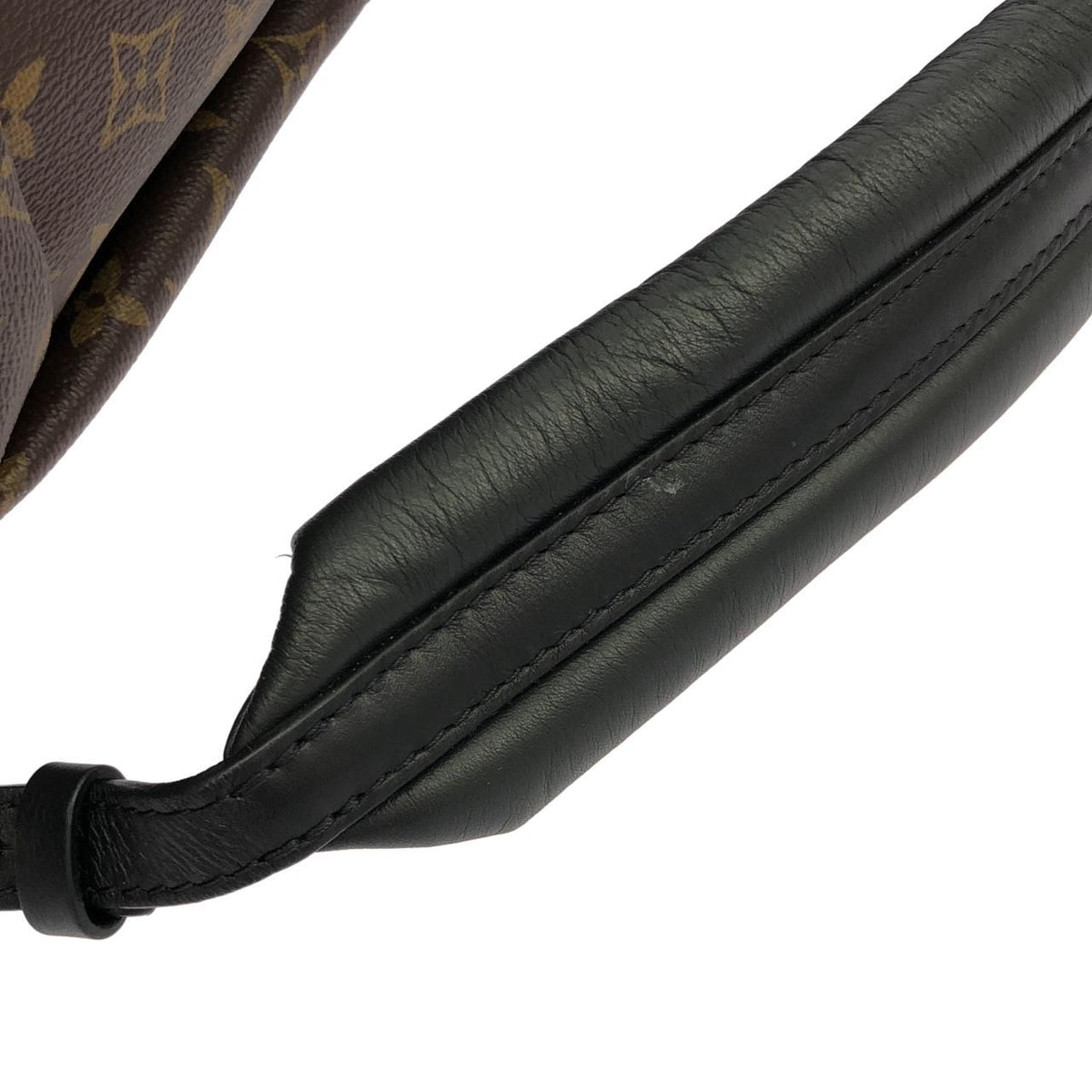 Louis Vuitton Monogram Palm Springs Backpack MM — view 8