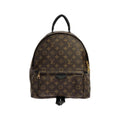 Louis Vuitton Monogram Palm Springs Backpack MM