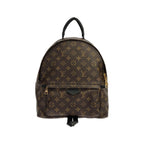 Louis Vuitton Monogram Palm Springs Backpack MM