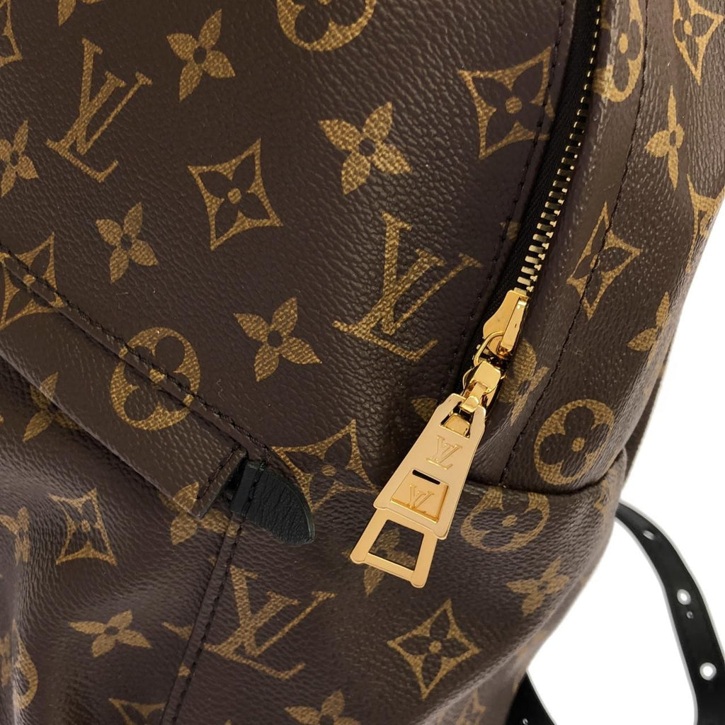 Louis Vuitton Monogram Palm Springs Backpack MM — view 4