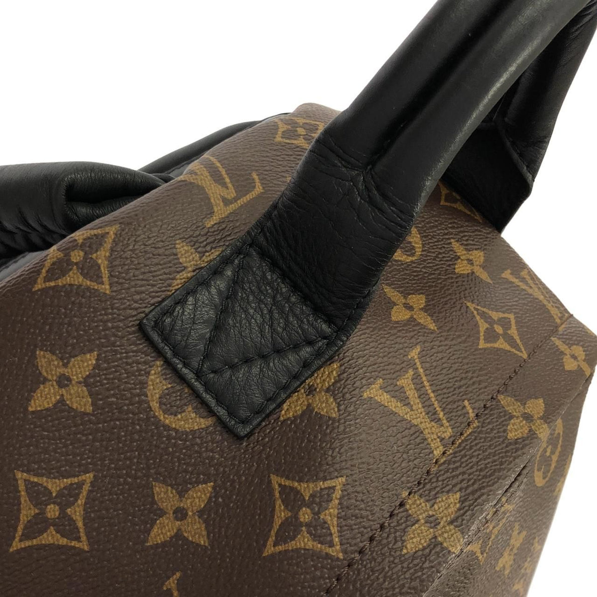 Louis Vuitton Monogram Palm Springs Backpack MM — view 6