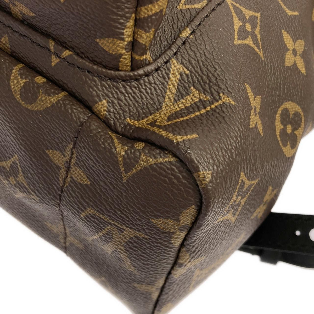Louis Vuitton Monogram Palm Springs Backpack MM — view 3