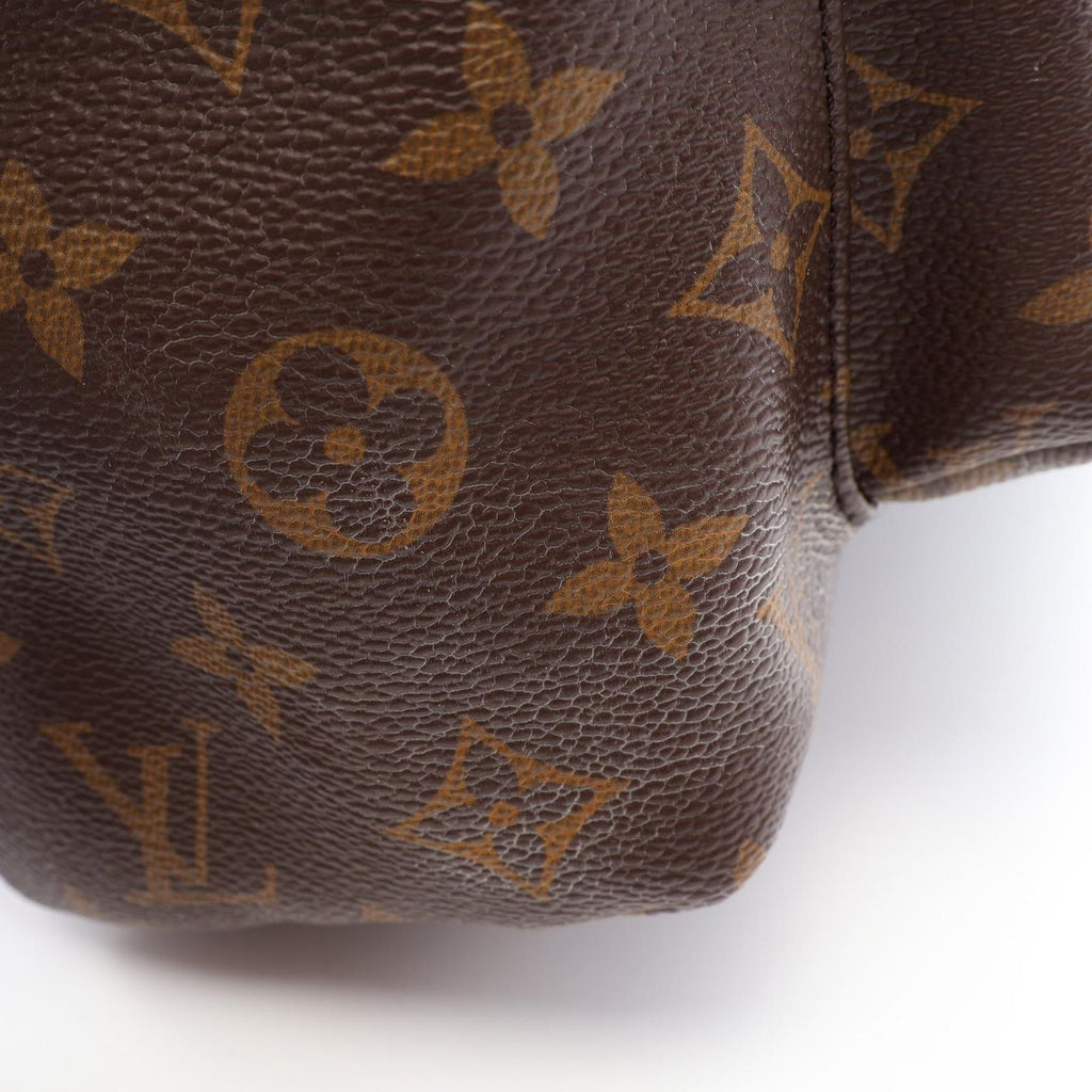 Louis Vuitton Backpack Palm Springs MM Monogram Canvas Leather — view 6