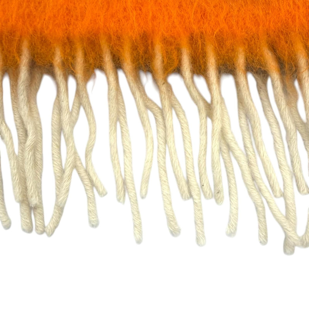 Loewe Mohair Wool Blend Anag Lambskin Patch Border Fringe Scarf Multi — view 4