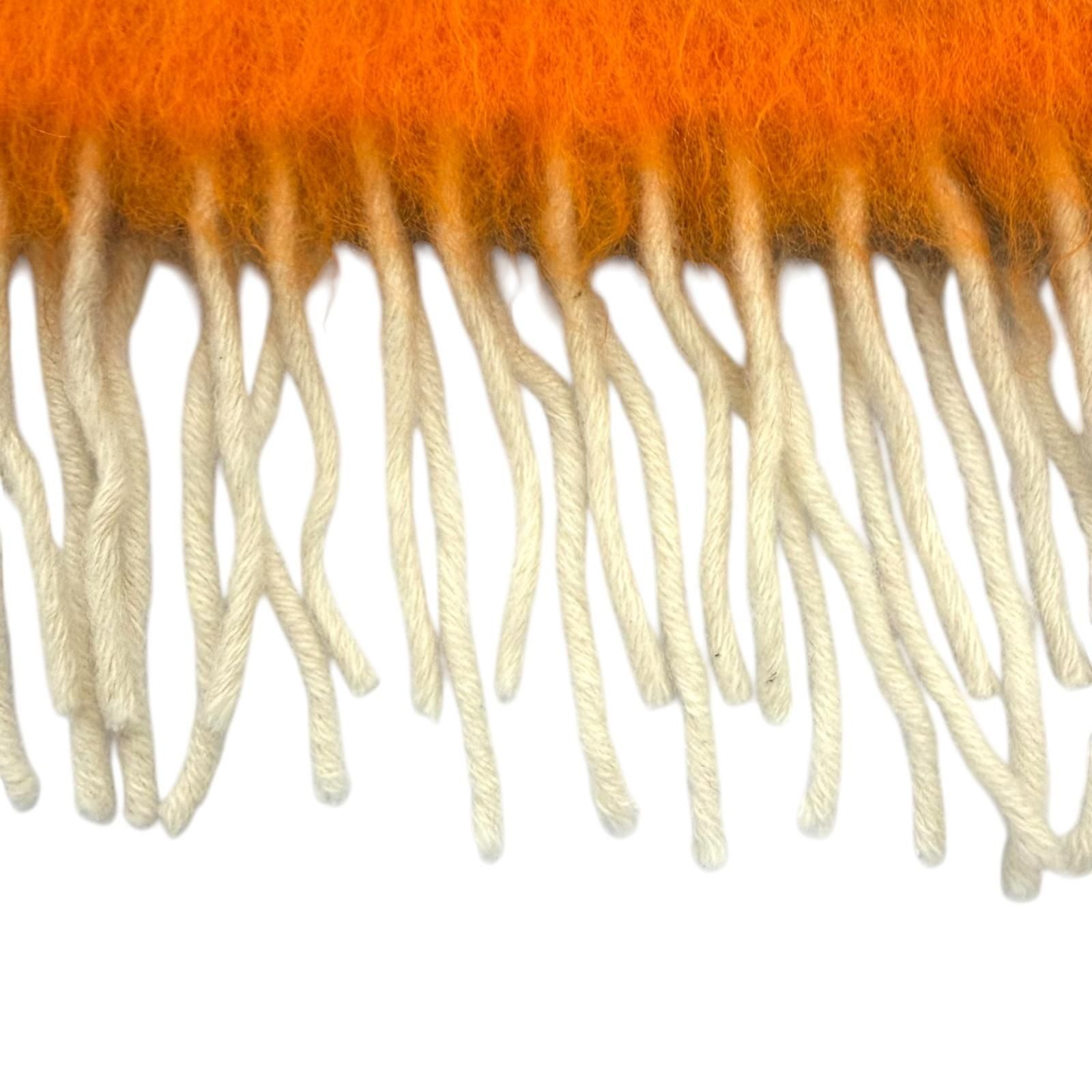 Loewe Mohair Wool Blend Anag Lambskin Patch Border Fringe Scarf Multi — view 4