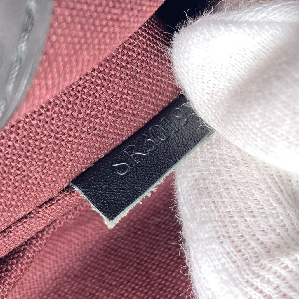 Louis Vuitton Bus PM Monogram Macassar Shoulder Bag Canvas — view 7