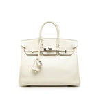 Hermes Birkin 25 Handbag Retourne Mushroom Silver Swift