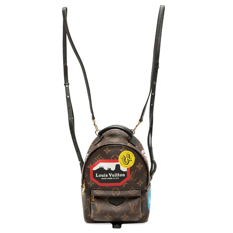 Louis Vuitton Monogram Palm Springs Mini Backpack Brown Leather