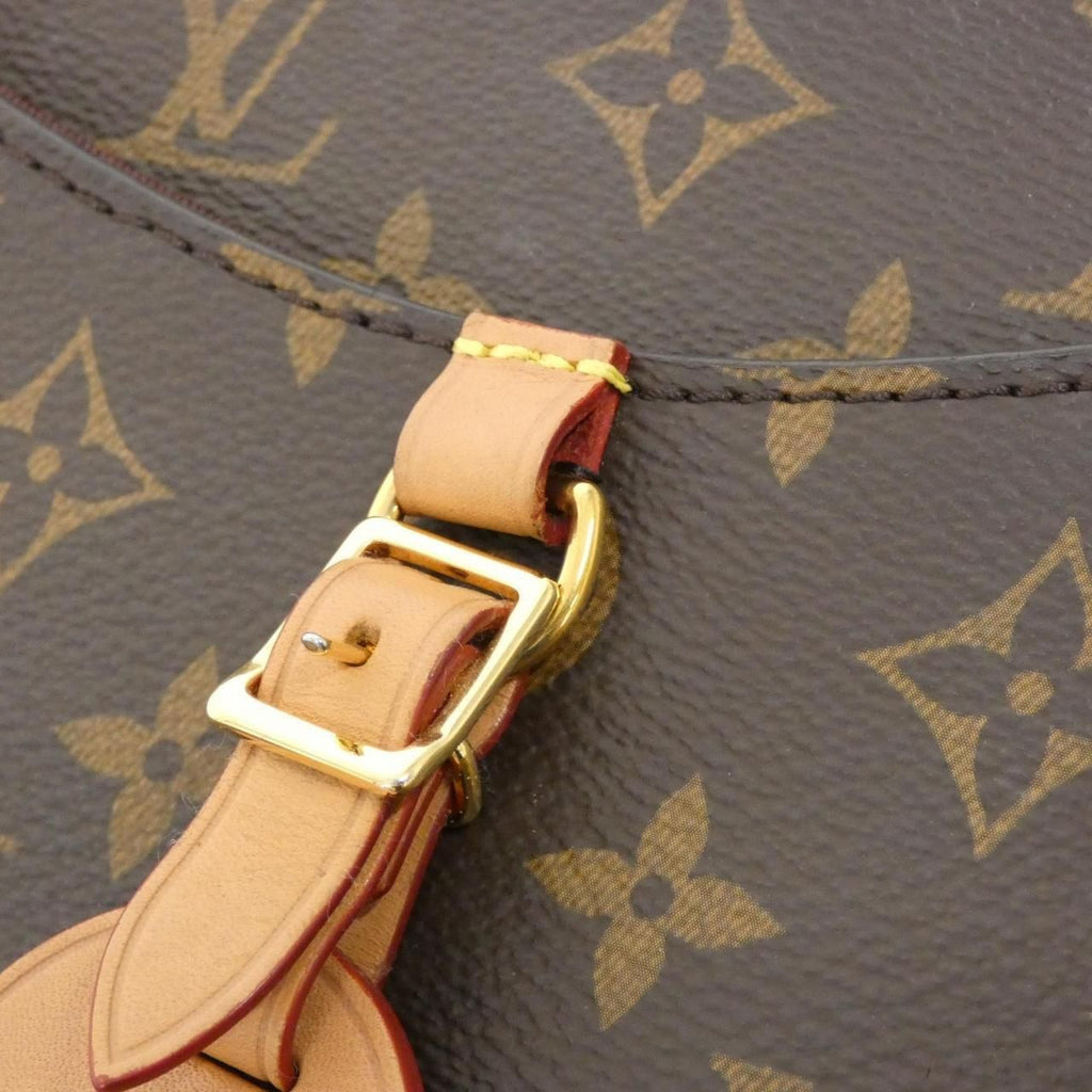 Louis Vuitton Monogram Odeon PM Shoulder — view 6