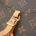 Louis Vuitton Monogram Odeon PM Shoulder — view 6