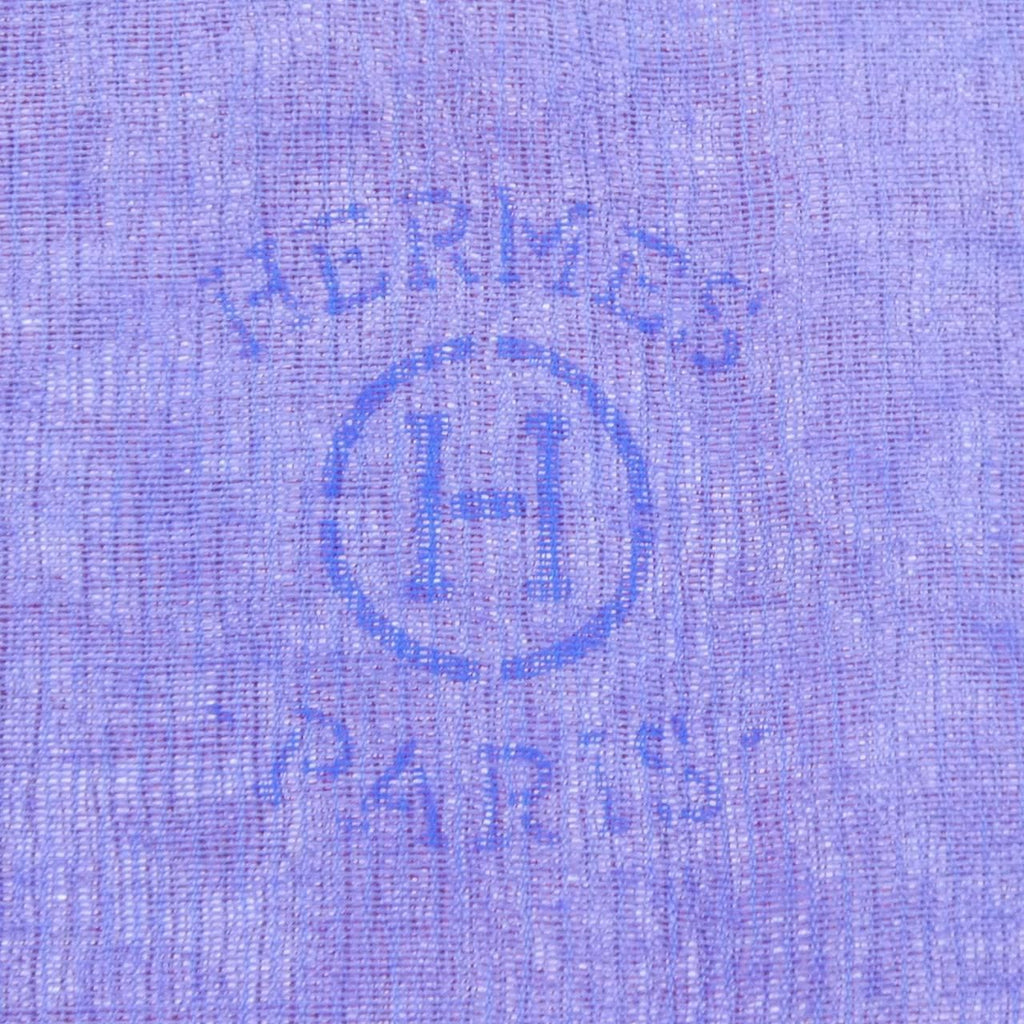 Hermes Etole Plume Sunrise S Stone Scarf — view 4