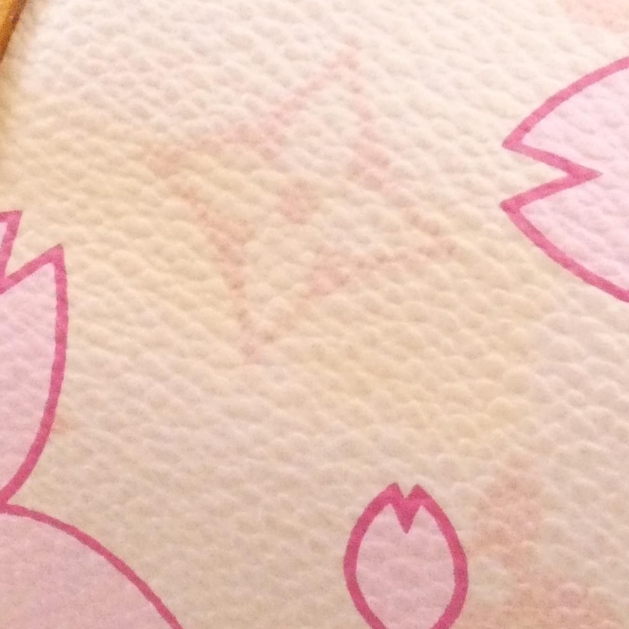 Louis Vuitton Monogram Cherry Blossom Papillon — view 4