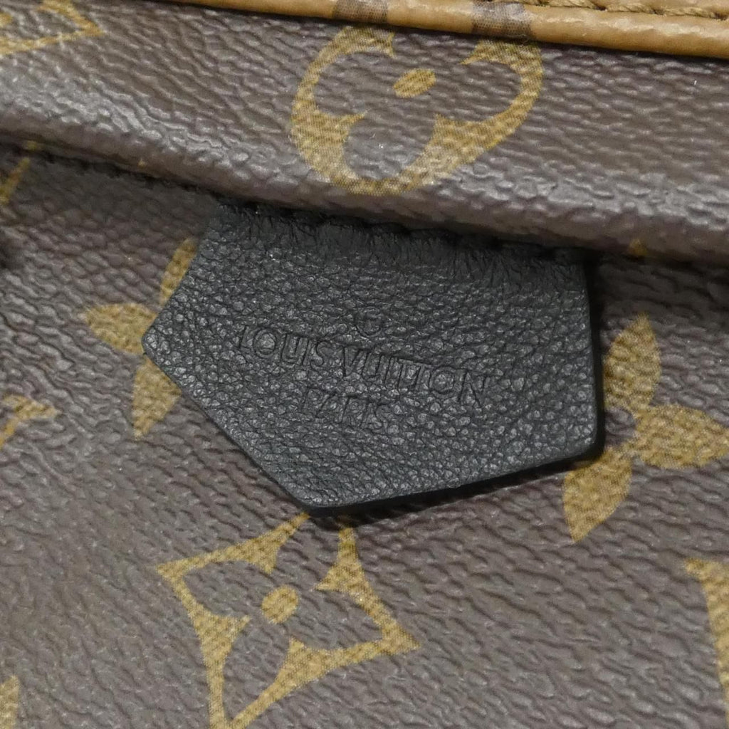 Louis Vuitton Monogram Reverse Palm Springs Backpack Mini — view 4