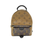 Louis Vuitton Monogram Reverse Palm Springs Backpack Mini