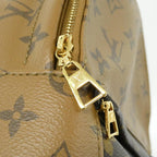 Louis Vuitton Monogram Reverse Palm Springs Backpack Mini — view 5