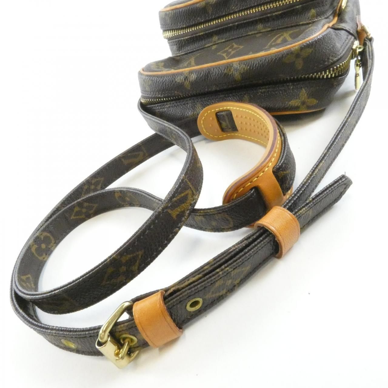 Louis Vuitton Monogram Amazon Shoulder — view 7