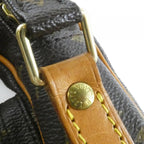 Louis Vuitton Monogram Amazon Shoulder — view 6