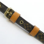 Louis Vuitton Monogram Amazon Shoulder — view 8