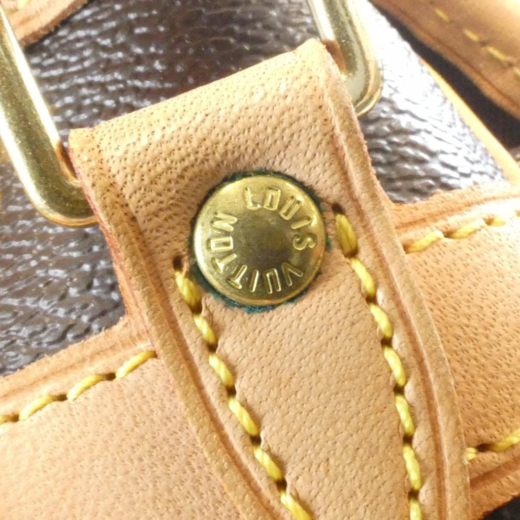 Louis Vuitton Monogram Sologne Shoulder — view 6