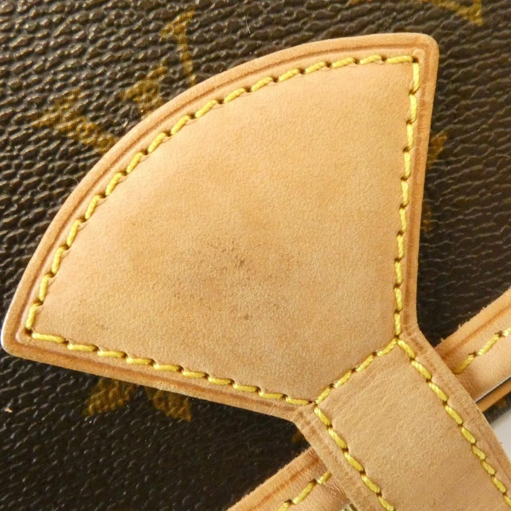 Louis Vuitton Monogram Sologne Shoulder — view 5