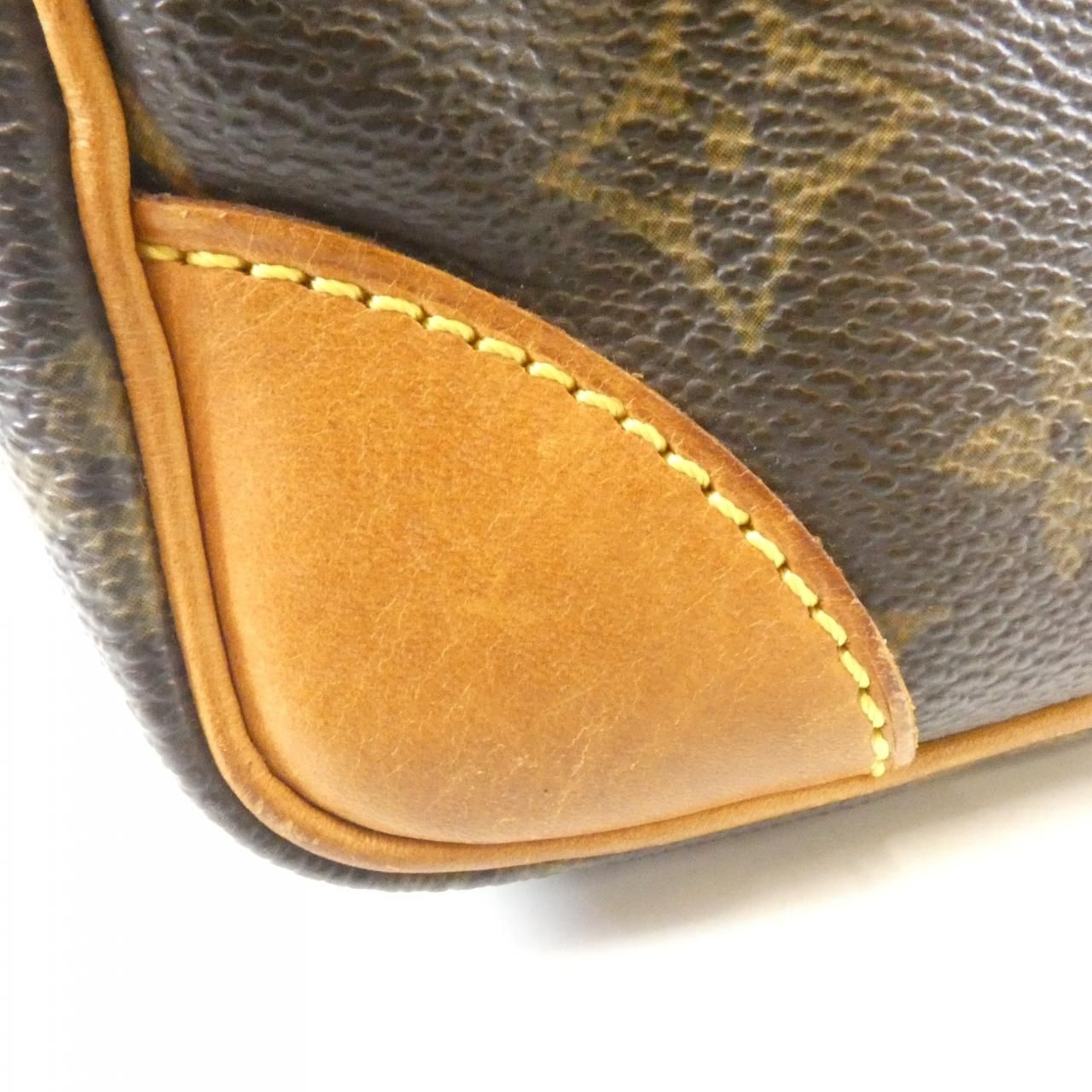 Louis Vuitton Monogram Amazon Shoulder — view 4