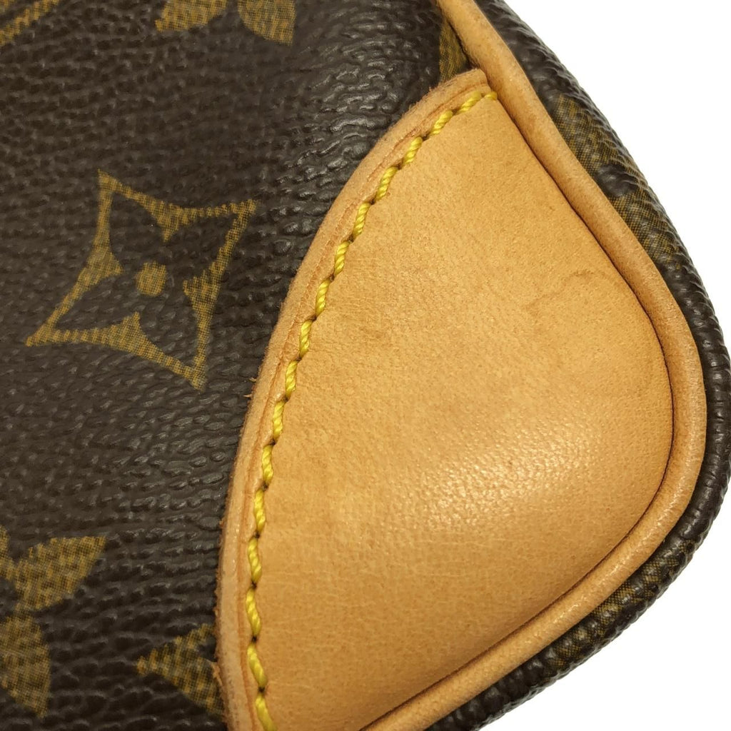 Louis Vuitton Monogram Amazon Shoulder — view 5