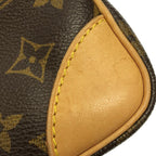 Louis Vuitton Monogram Amazon Shoulder — view 5