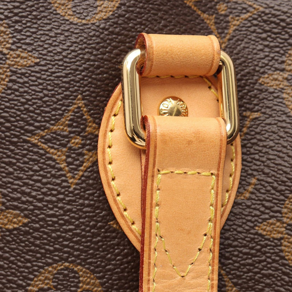 Louis Vuitton Handbag Palermo PM Monogram 2-Way Canvas Leather — view 8
