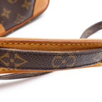 Louis Vuitton Monogram Amazon Mini Shoulder Bag Brown Leather Gold — view 6