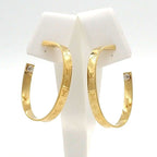 Louis Vuitton Earrings Hoop Nanogram