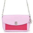 Dior Chain Wallet Turnlock Leather Shoulder