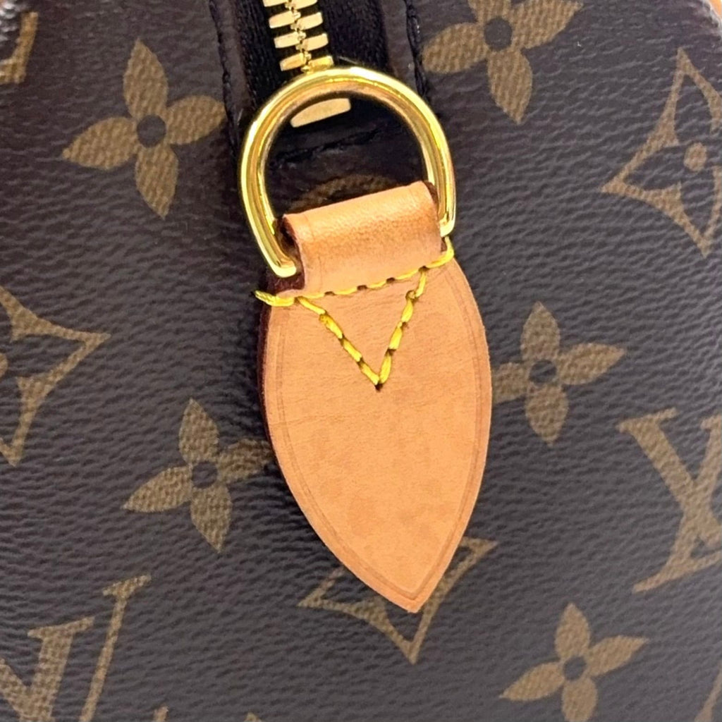 Louis Vuitton Speedy 20 Monogram Leather Brown Handbag Gold — view 5