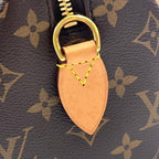 Louis Vuitton Speedy 20 Monogram Leather Brown Handbag Gold — view 5