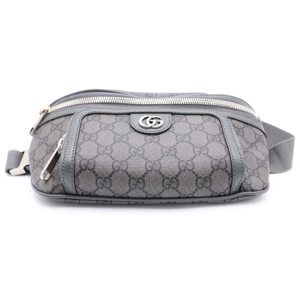 Gucci Double Di Belt Bag Khaki Gray GG Canvas Silver — view 4