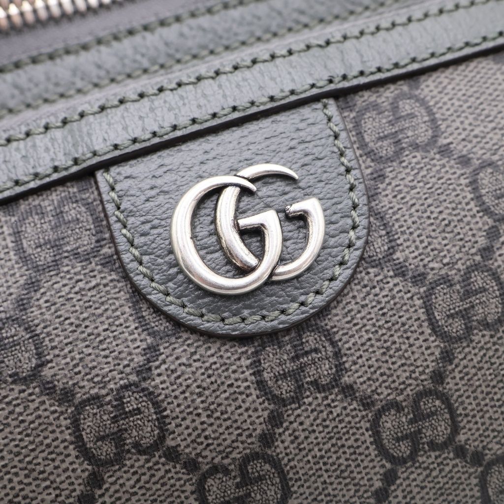 Gucci Double Di Belt Bag Khaki Gray GG Canvas Silver — view 6