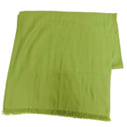 Hermes Exlibris Cashmere Silk Large Shawl Light Green Scarf