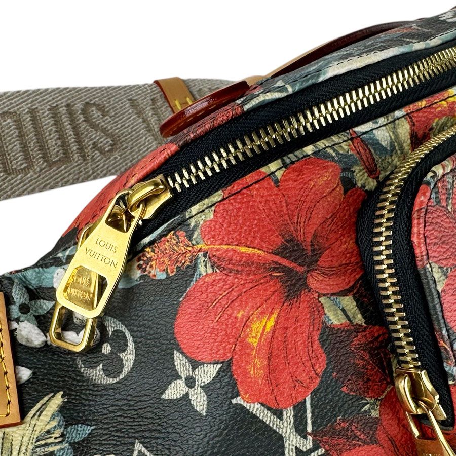 Louis Vuitton Waist Bag Monogram Surfing Rush — view 7