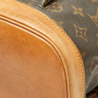 Louis Vuitton Monogram Montsouris MM Backpack Brown Leather — view 4