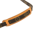 Louis Vuitton Monogram Amazon Shoulder — view 7