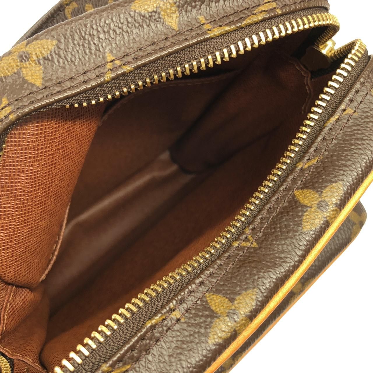 Louis Vuitton Monogram Amazon Shoulder — view 8