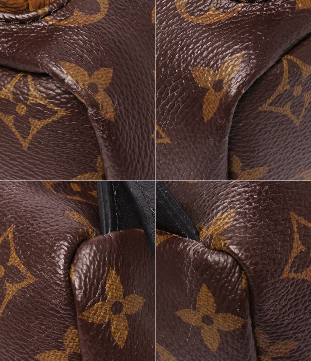 Louis Vuitton Backpack Palm Springs PM Monogram — view 5