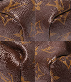 Louis Vuitton Backpack Palm Springs MM Monogram — view 5