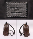 Louis Vuitton Backpack Palm Springs MM Monogram — view 4