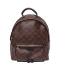 Louis Vuitton Backpack Palm Springs MM Monogram