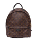 Louis Vuitton Backpack Palm Springs MM Monogram