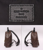 Louis Vuitton Backpack Palm Springs MM Monogram — view 4
