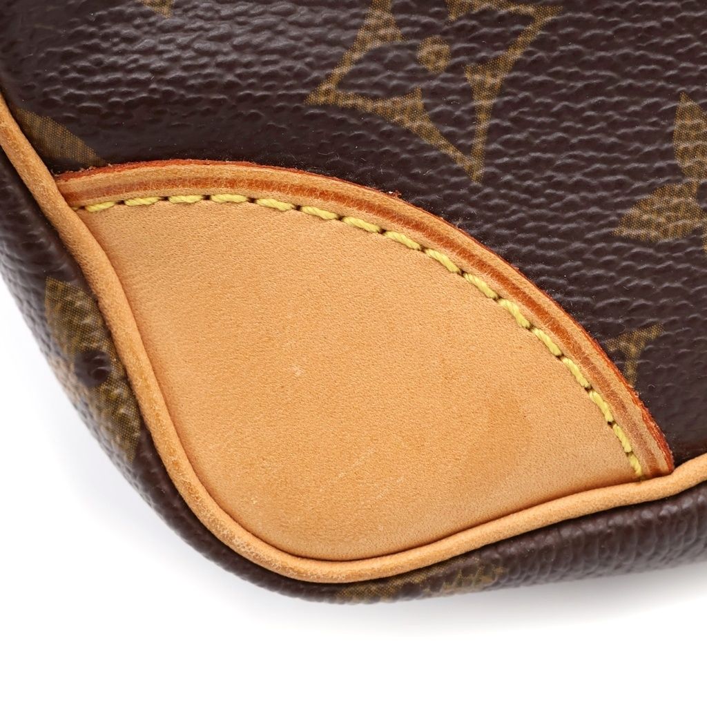Louis Vuitton Monogram Amazon Mini Shoulder Bag Brown Leather Gold — view 6