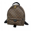 Louis Vuitton Backpack Monogram Palm Springs MM Brown