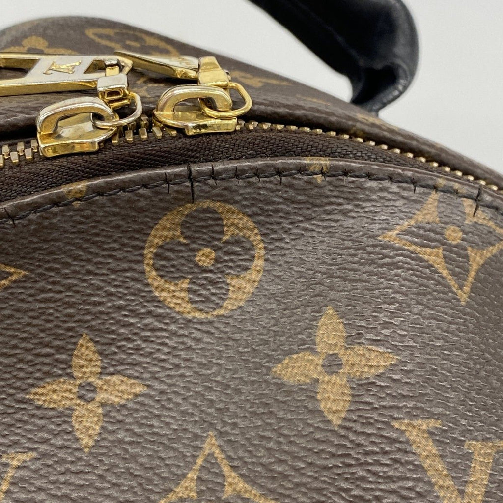 Louis Vuitton Backpack Monogram Palm Springs MM Brown — view 6
