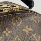 Louis Vuitton Backpack Monogram Palm Springs MM Brown — view 6